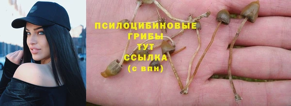 крисы Армянск
