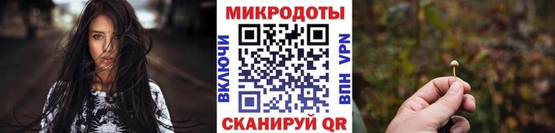 Псилоцибиновые грибы мицелий  Карачаевск 
